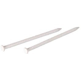 1-5/8-In. White Panel Nails, 6 oz. Sale
