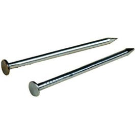 1/2-In. x 19 Galvanized Wire Nails, 1-1/2 oz. Supply