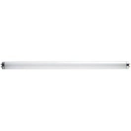 15-Watt Cool White Miniature Fluorescent Tube Fashion