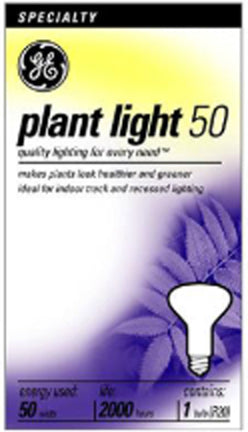 50W Med Soft White R20 Floodlight on Sale