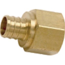 Adapter, Lead Free, .75 Brass Barb x .75-In. FPT Fashion