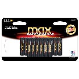 Alkaline Batteries, AAA, 16-Pk. Online Hot Sale