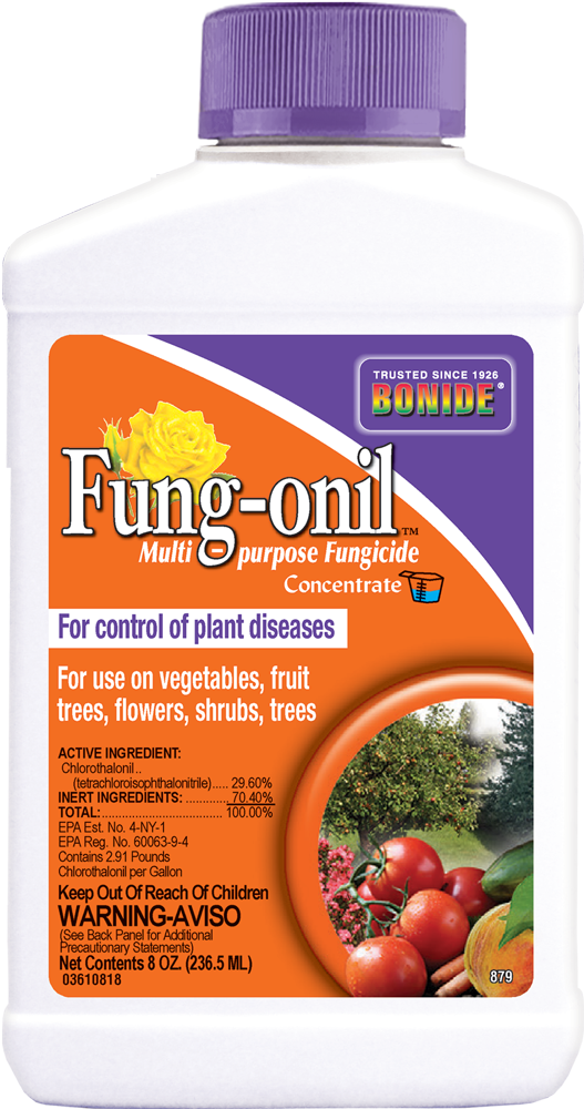 Bonide Fung-onil® Conc Online now