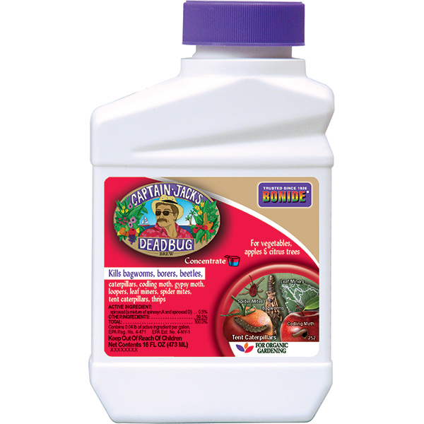 BONIDE CAPTAIN JACK ‘S DEADBUG BREW CONCENTRATE 1PT Fashion