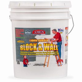 Block & Wall Liquid Rubber Coating, White, 5-Gals. Online Hot Sale