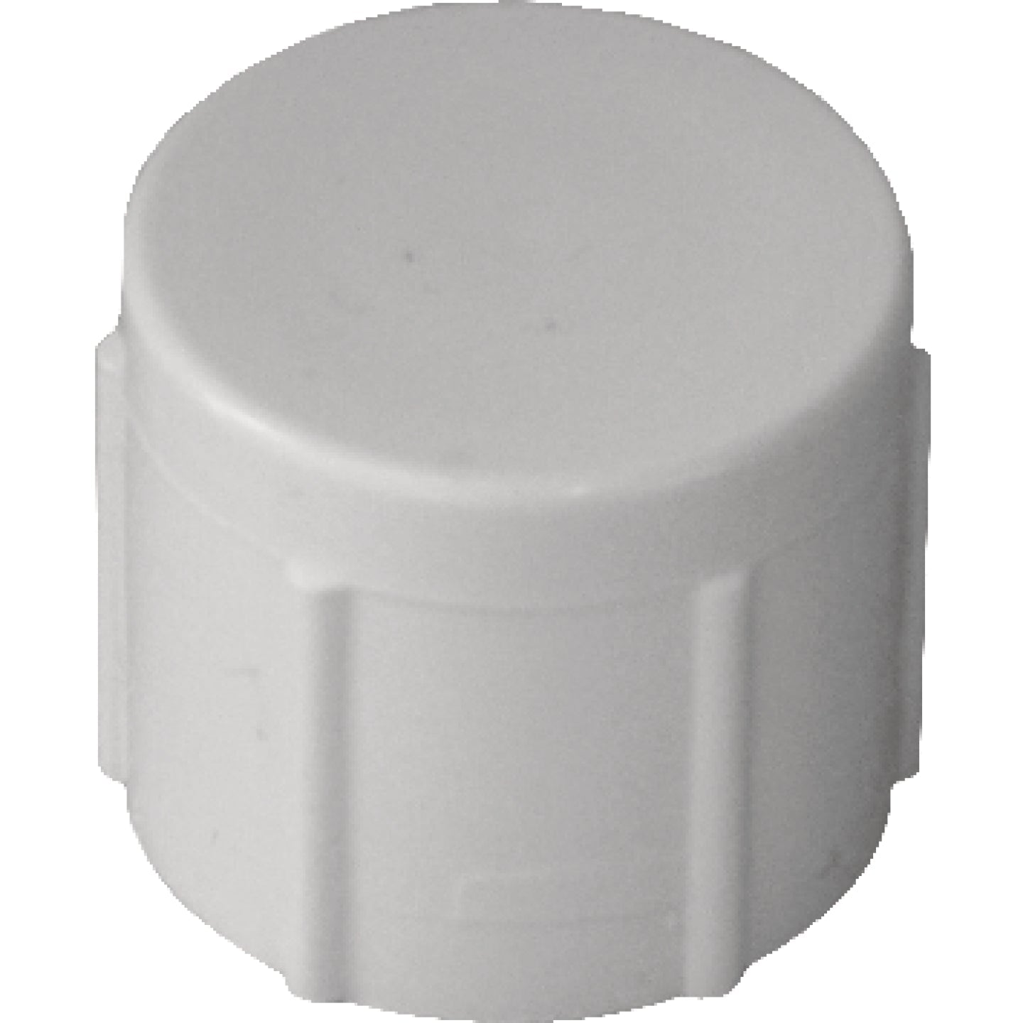 Charlotte Pipe 1/2 In. FIP Schedule 40 Threaded PVC Cap Online