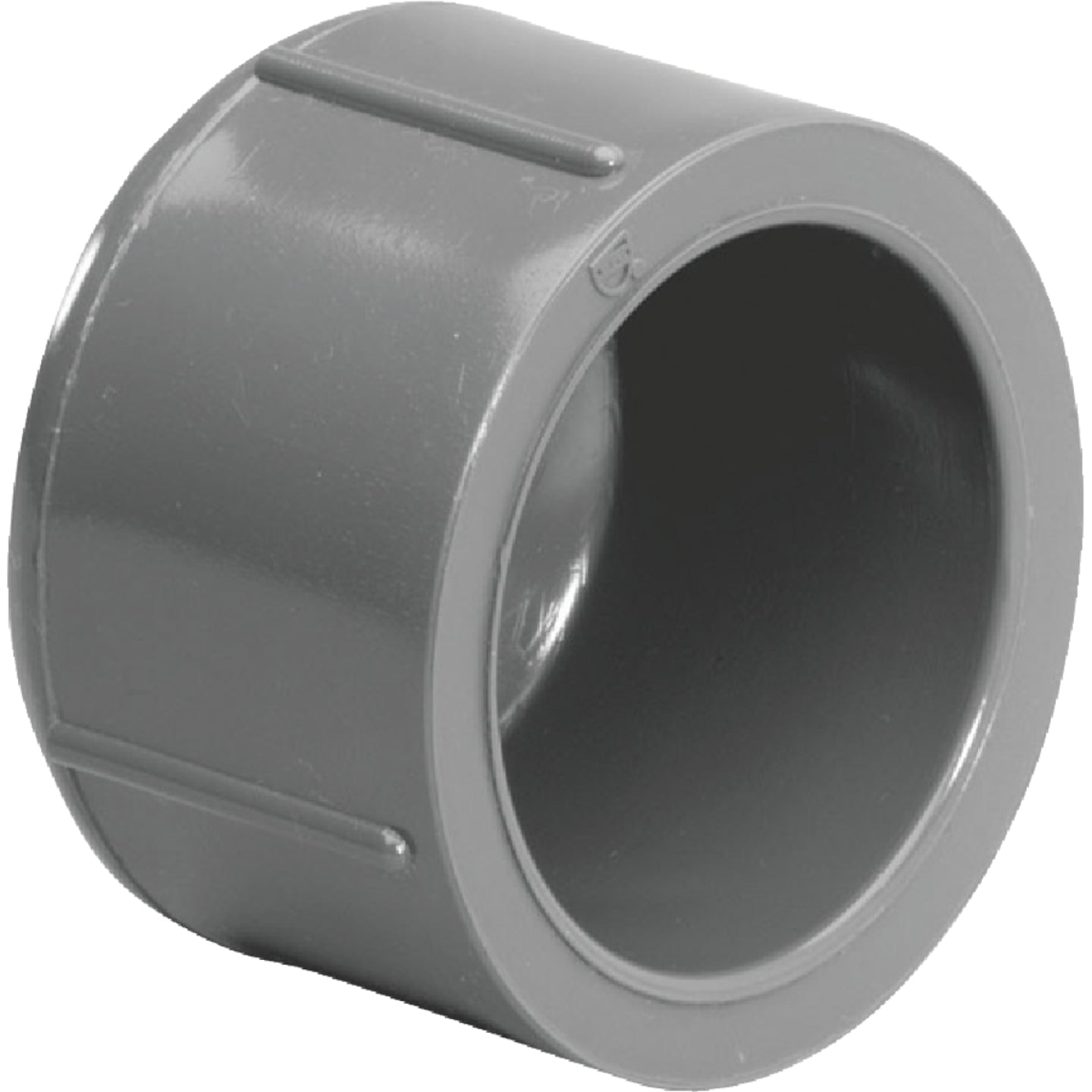 Charlotte Pipe 1 In. Schedule 80 Slip PVC Cap Supply
