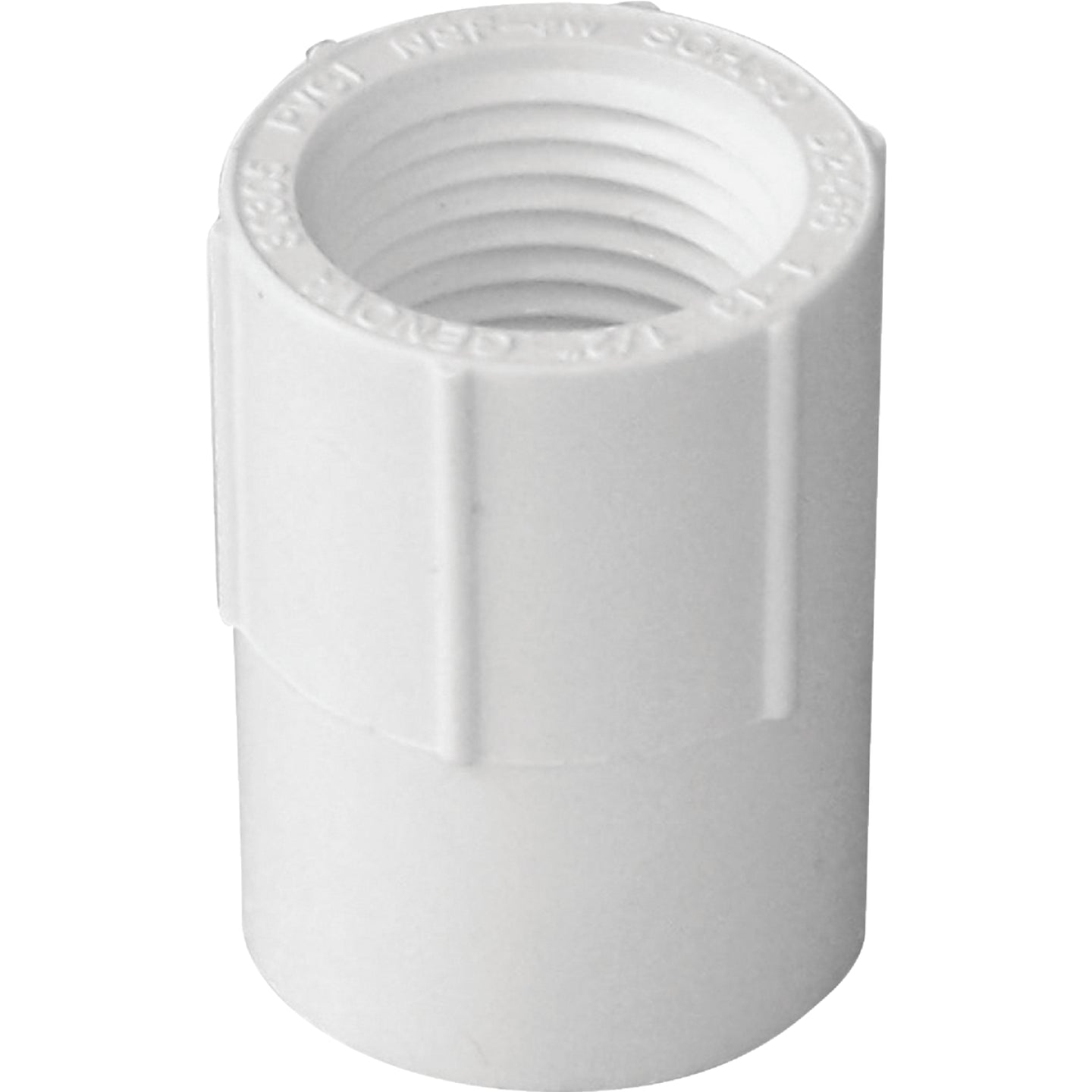 Charlotte Pipe Female Schedule 40 1/2 in. PVC Adapter Fashion