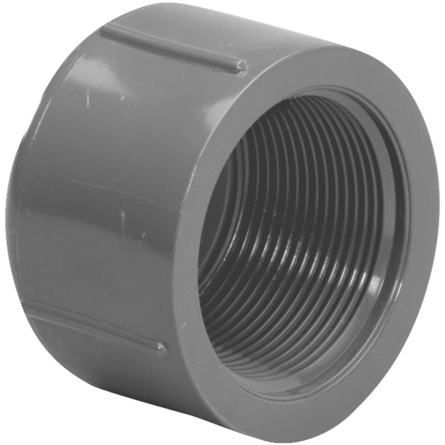 Charlotte Pipe 1/2 In. FIP Schedule 80 Threaded PVC Cap Online Hot Sale