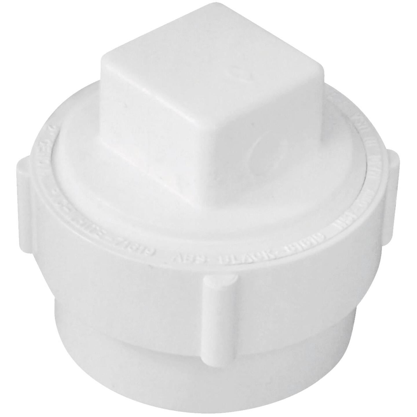 Charlotte Pipe 2 In. SPG x 2 In. FIP Schedule 40 DWV PVV Cleanout with Threaded Plug Fashion
