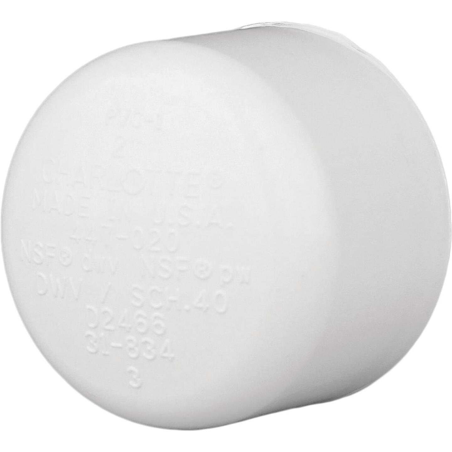 Charlotte Pipe 1 In. Schedule 40 Pressure Slip PVC Cap Fashion