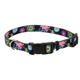 Dog Collar, Adjustable, Wildflower, Nylon, 1 x 18-26-In. Discount