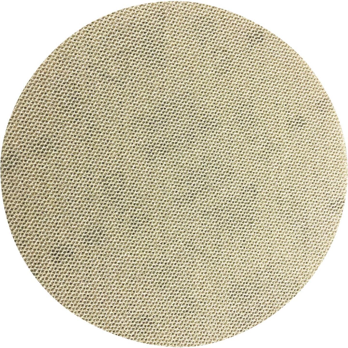 Diablo SandNet 5 In. 60 Grit Sanding Disc with Connecton Pad (10-Pack) Sale