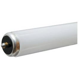 Fluorescent Tube, Cool White, 60-Watts, 8-Ft. Online Hot Sale