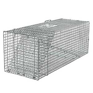 HAVAHART® X-Large Animal Trap Online now
