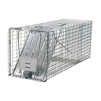 Havahart® Large 1-Door Trap Online