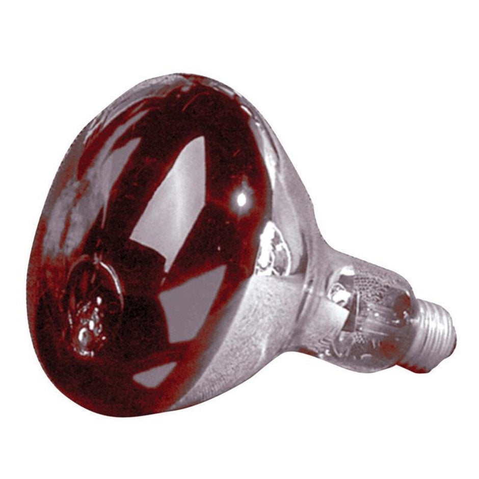 Incandescent 250-Watt Medium R40 Red Light Bulb Online