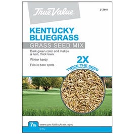 Kentucky Bluegrass Seed Mix Supply