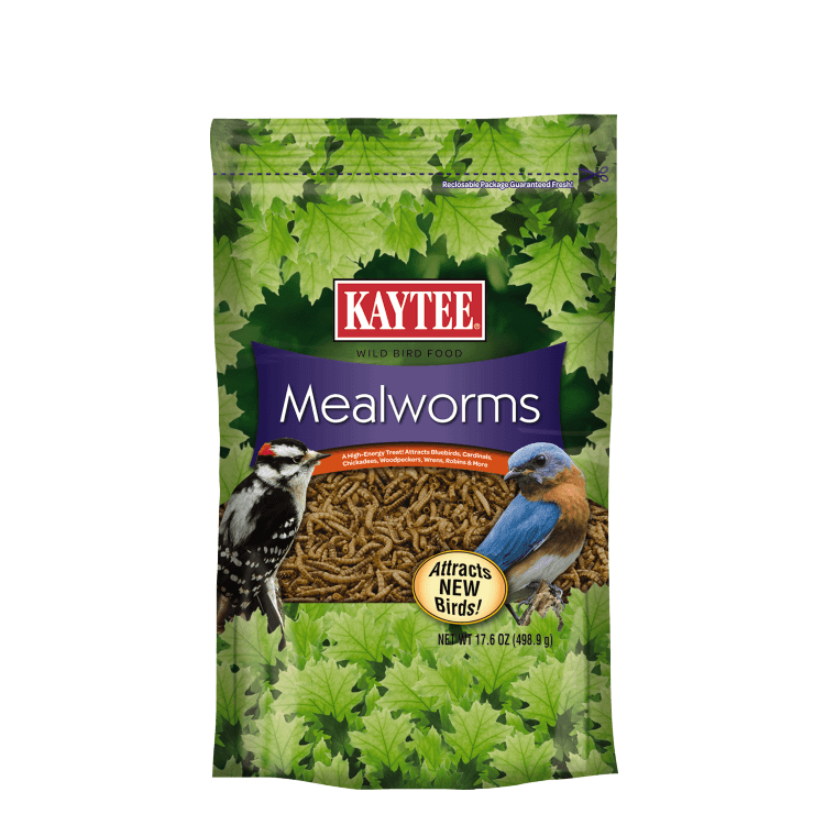 Kaytee Mealworms Fashion