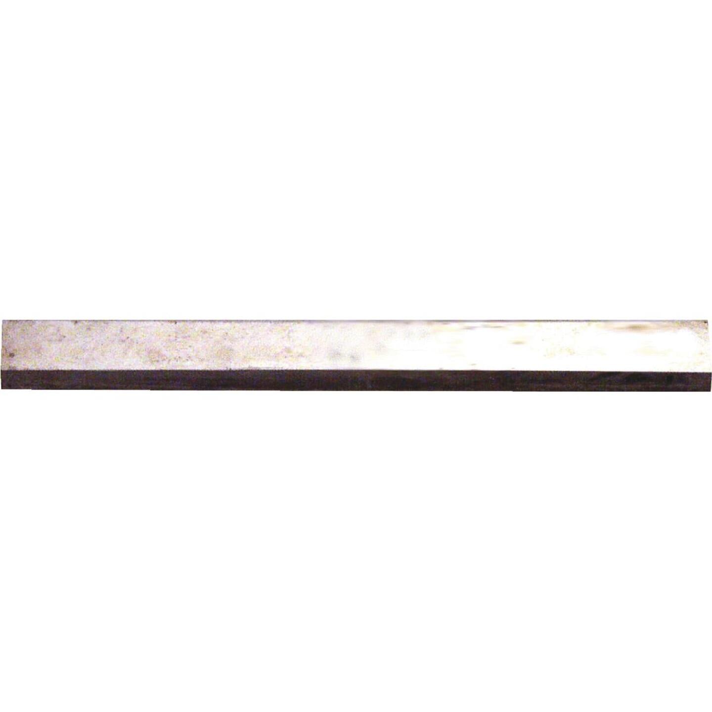 Hyde 2-1/2 In. 2-Edge Carbide Replacement Scraper Blade Hot on Sale