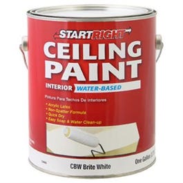 Latex Ceiling Paint, Brite White Flat, 1-Gallon Online now