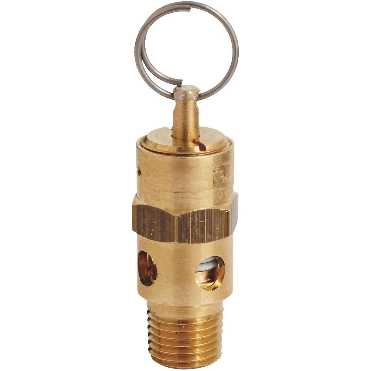 Milton 1/4 In. MNPT 125 psi Safety Valve Online Sale