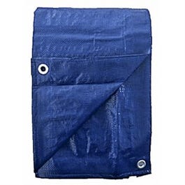 Polyethylene Tarp, Blue, 6 x 8-Ft. Online now