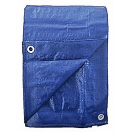 Polyethylene Tarp, Blue, 10 x 20-Ft. Fashion
