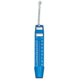 Pool Thermometer Discount