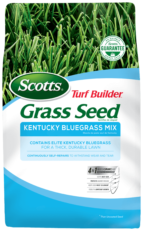Scotts® Turf Builder® Grass Seed Kentucky Bluegrass Mix on Sale