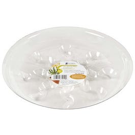 Saucer Plus, 8-In. Hot on Sale