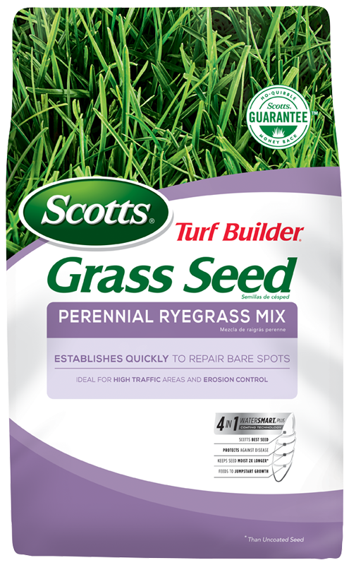 Scotts® Turf Builder® Grass Seed Perennial Ryegrass Mix Online now