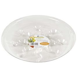 Saucer Plus, 6-In. Online now