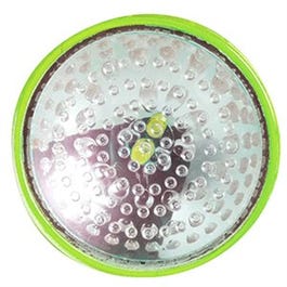 Strobe Pumpkin Lite Online Sale