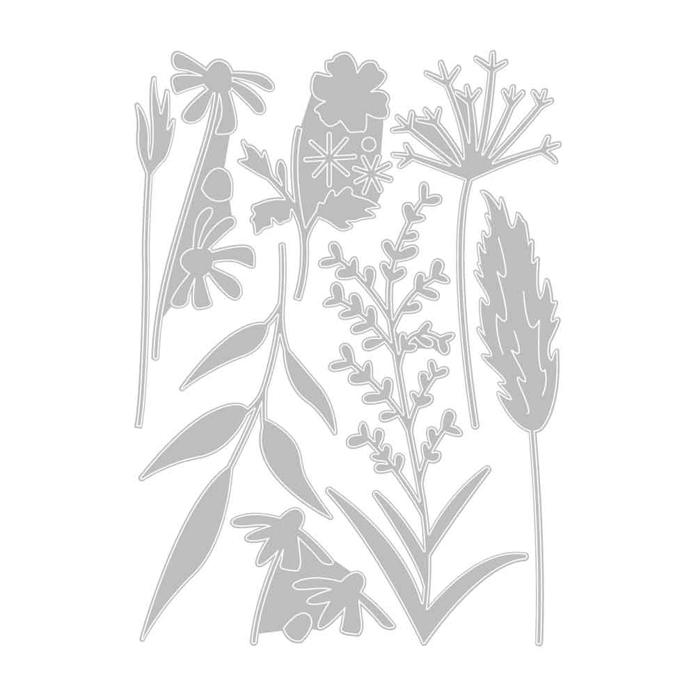 Delicate Autumn Stems Thinlits Dies – Olivia Rose – Sizzix Supply