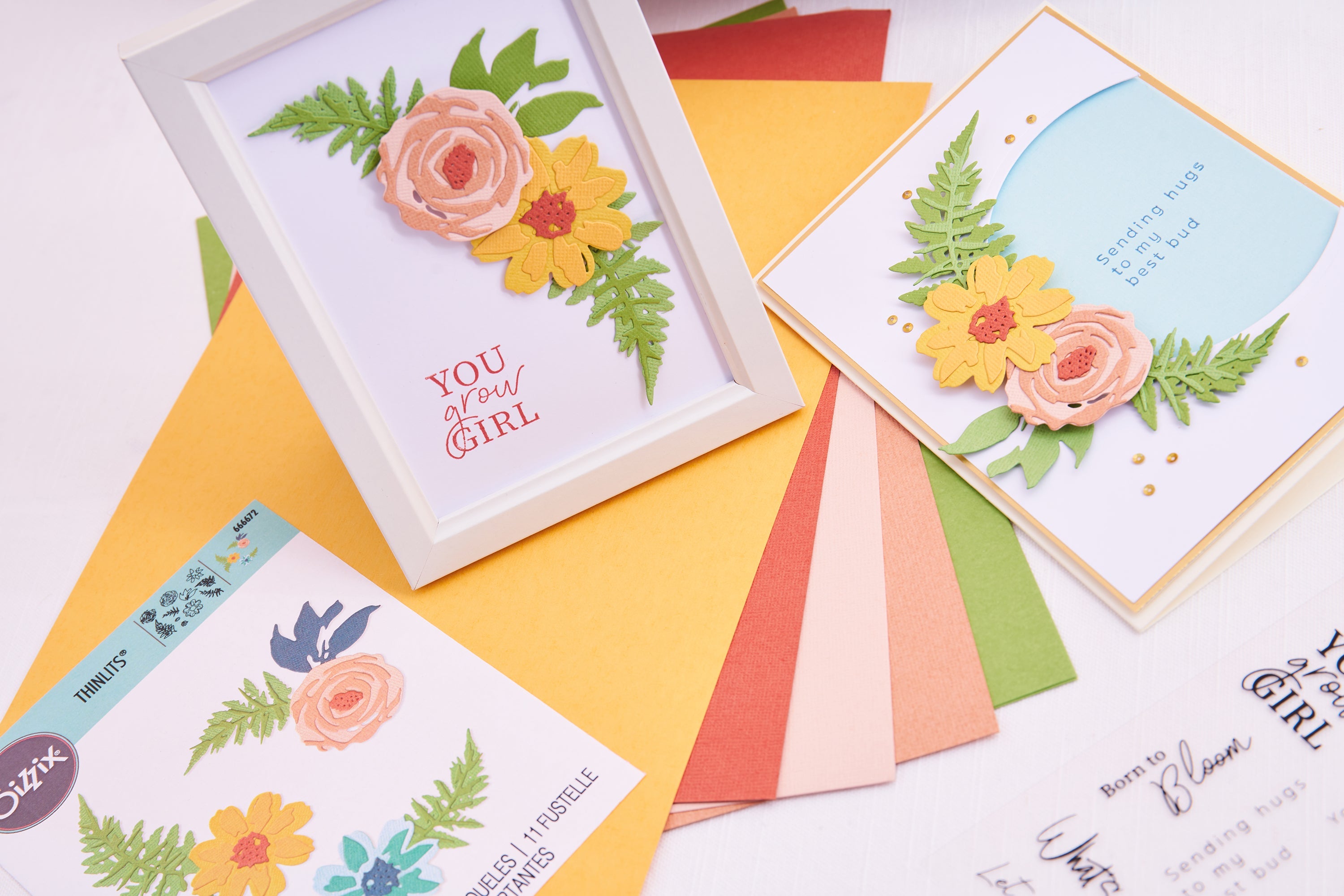 Flowers & Fern Thinlits Die Set – Sizzix Supply