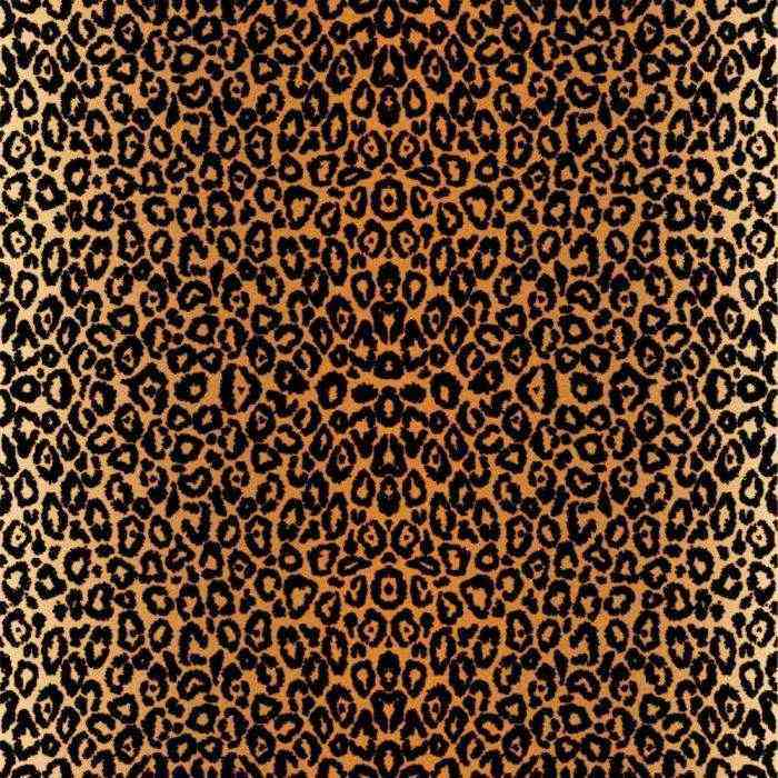 Leopard Infusible Ink Transfer Sheet Patterns – Cricut Fashion