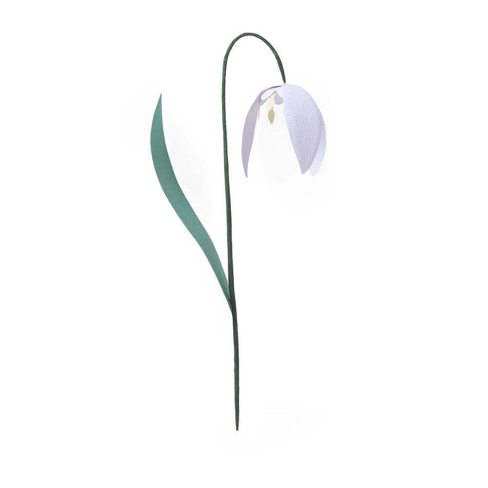 Snowdrop Bigz Die – Jennifer Ogborn – Sizzix Online