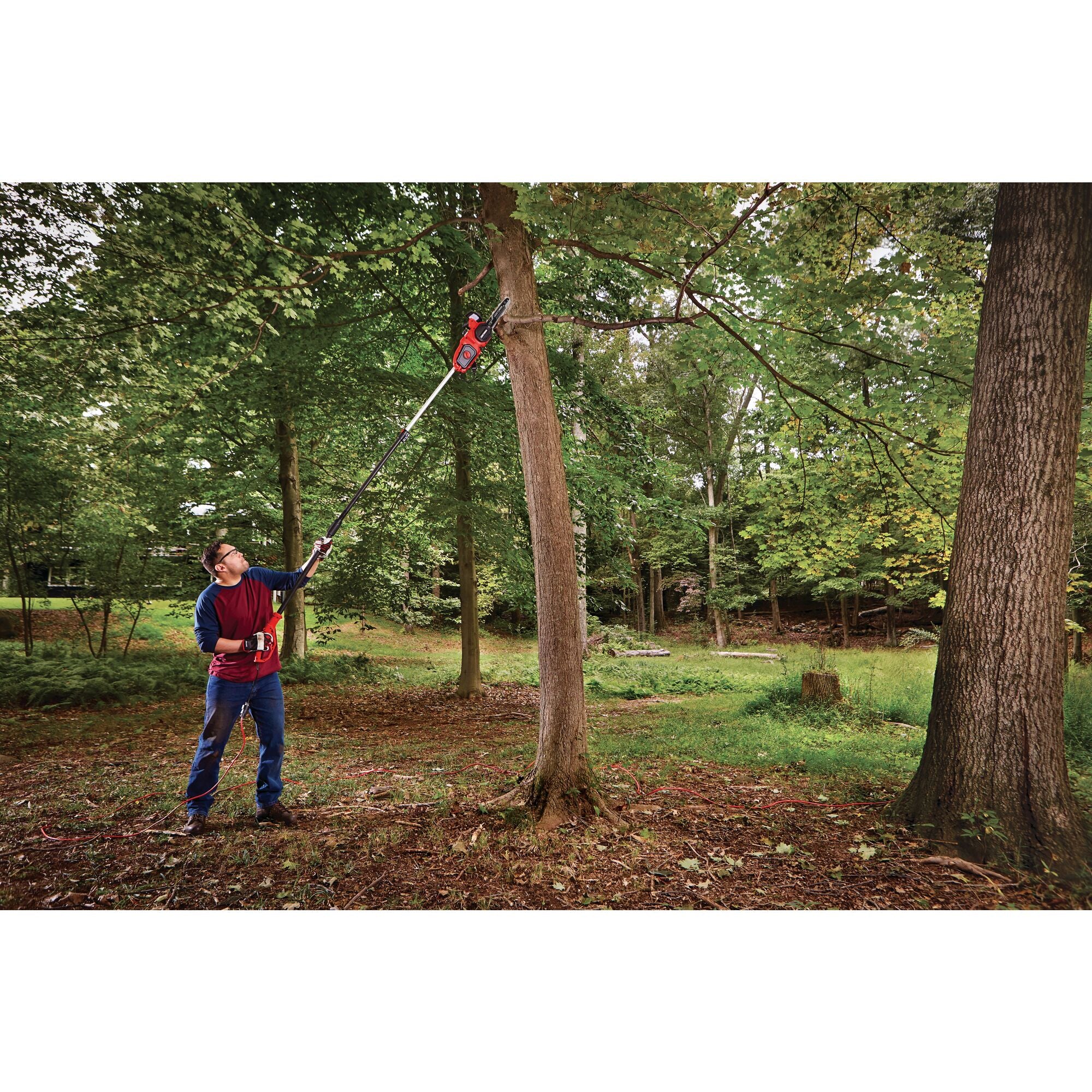 8 Amp 10-in. Corded Pole Chainsaw With Extension Pole Hot on Sale