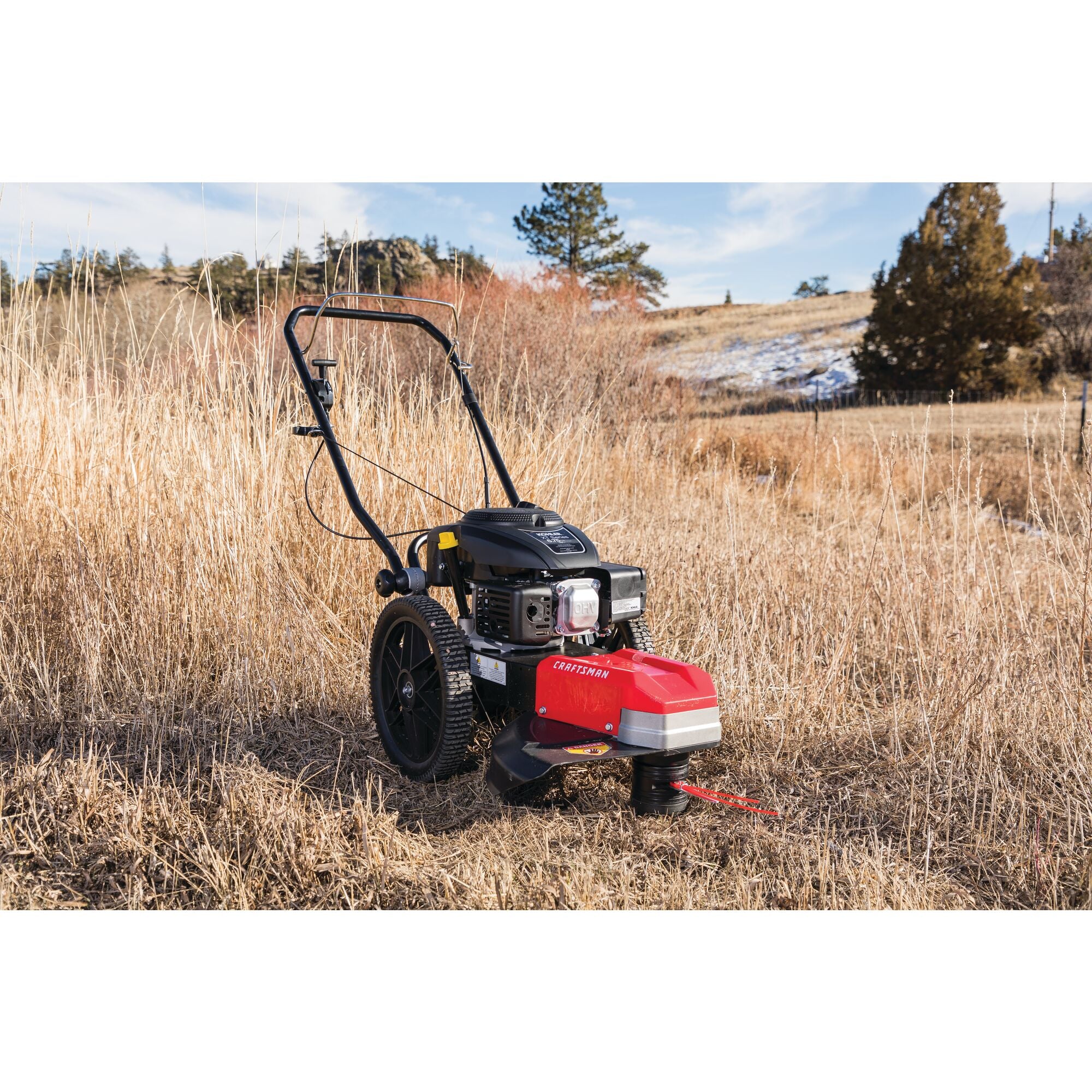 Wheeled String Trimmer Online Hot Sale